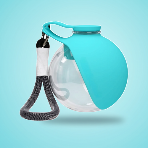 Esfera transparente con cuenco plegable turquesa para perros