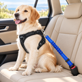 Arnés conectado al cinturón de seguridad azul para perros dentro del coche